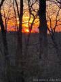 16376 Twisted Tree Road - Photo 3