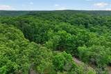 16376 Twisted Tree Road - Photo 38
