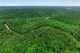 16376 Twisted Tree Road - Photo 40