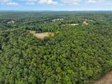 TBD Little Buffalo Road - Photo 13