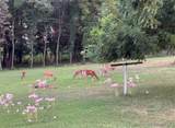 30293 Autumn Road - Photo 6