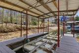 31035 Glenna Drive - Photo 41