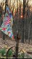 16376 Twisted Tree Road - Photo 30