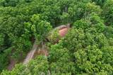 16376 Twisted Tree Road - Photo 31