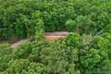 16376 Twisted Tree Road - Photo 32