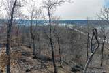 2021 Wilson Bend Road - Photo 6