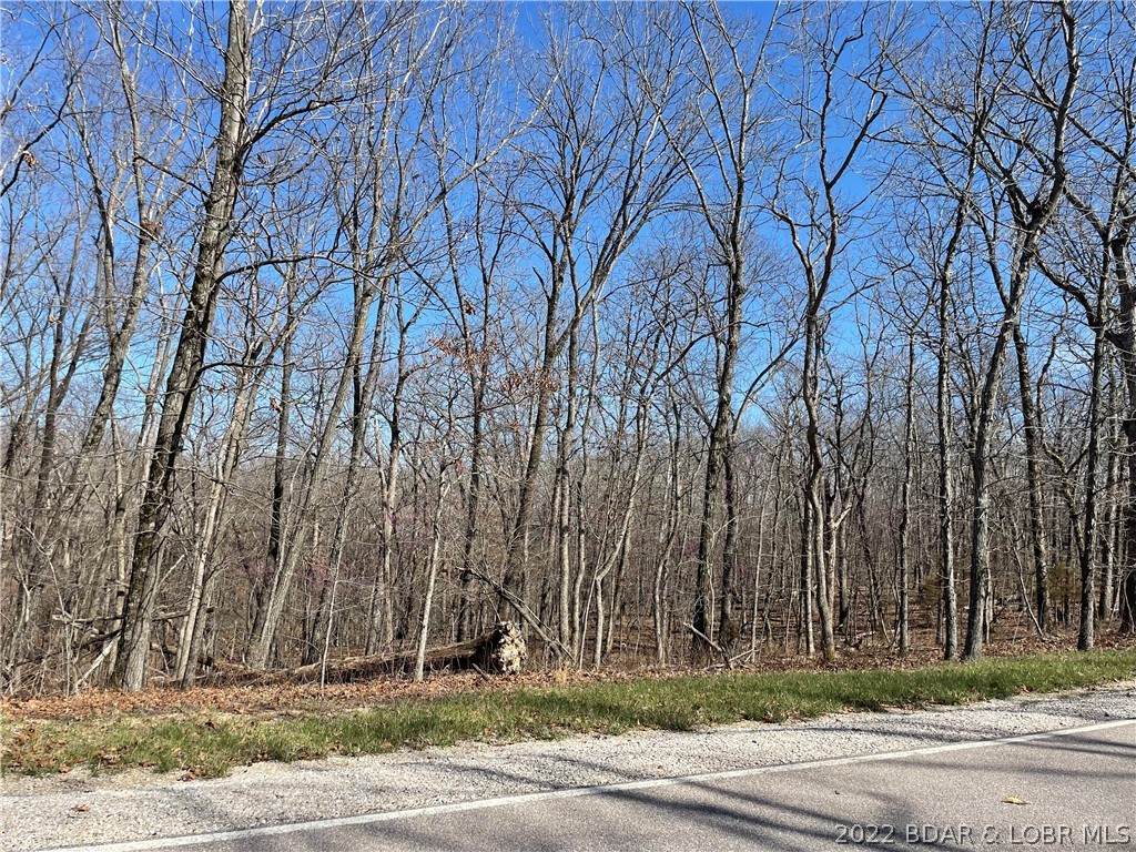 Lot 527 Newton Terrace - Photo 1