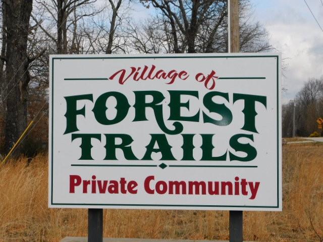 Lot 10 Forest Trail Road - Photo 1
