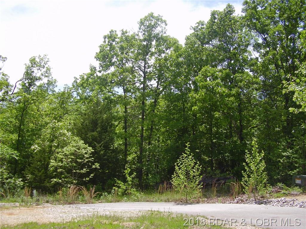 21 Silver Spur Court - Photo 1