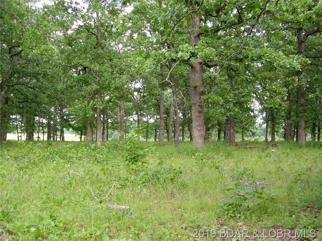 13 Low Road - Photo 1