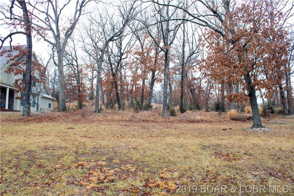 TBD 28 Guinevere Drive - Photo 1
