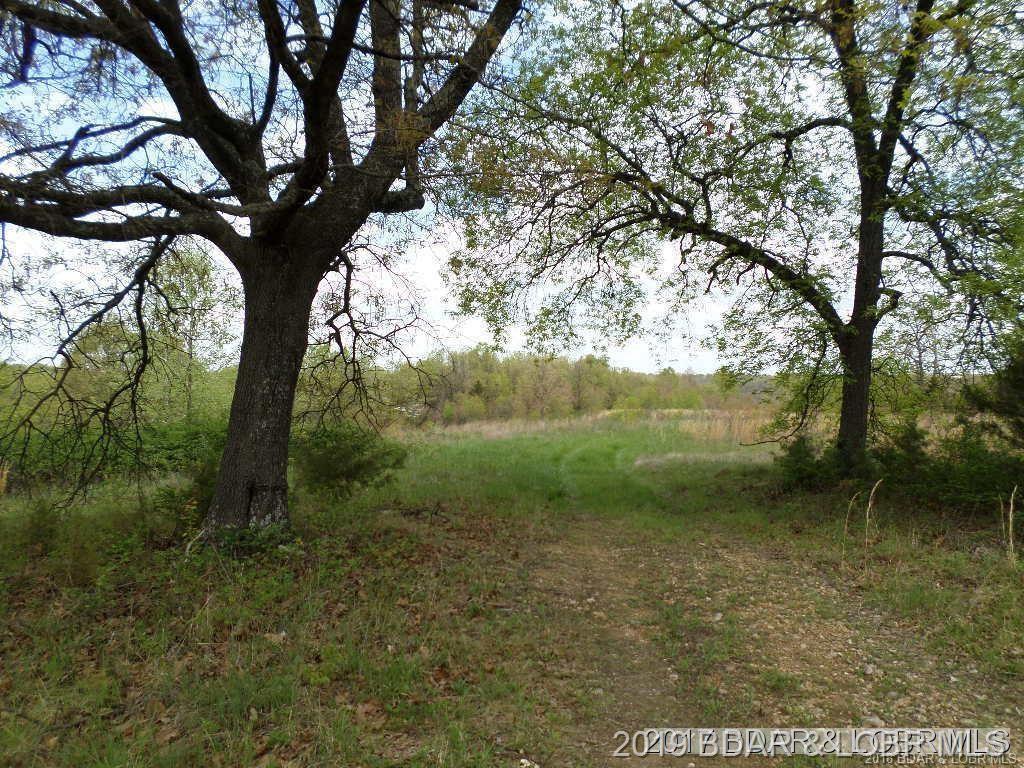 Native Drive - Photo 1