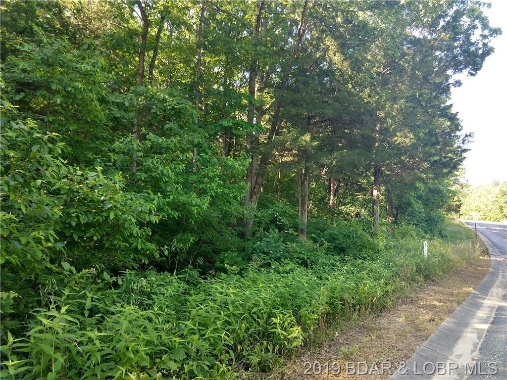 PL 1 Lt 16 Country Ridge Drive - Photo 1