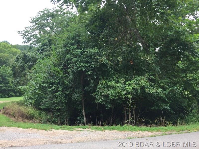 925 London Lane - Photo 1