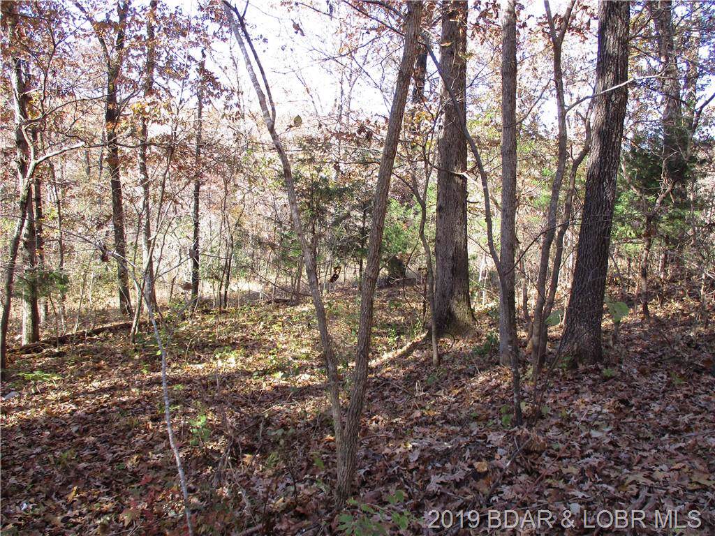 Tbd Hwy J - Photo 1
