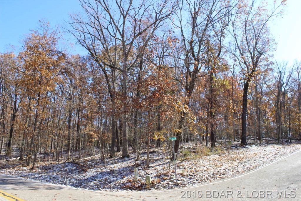 Lot 228 Cornett Cove #1 - Photo 1 Lot 228 Cornett Cove #1 - Photo 1