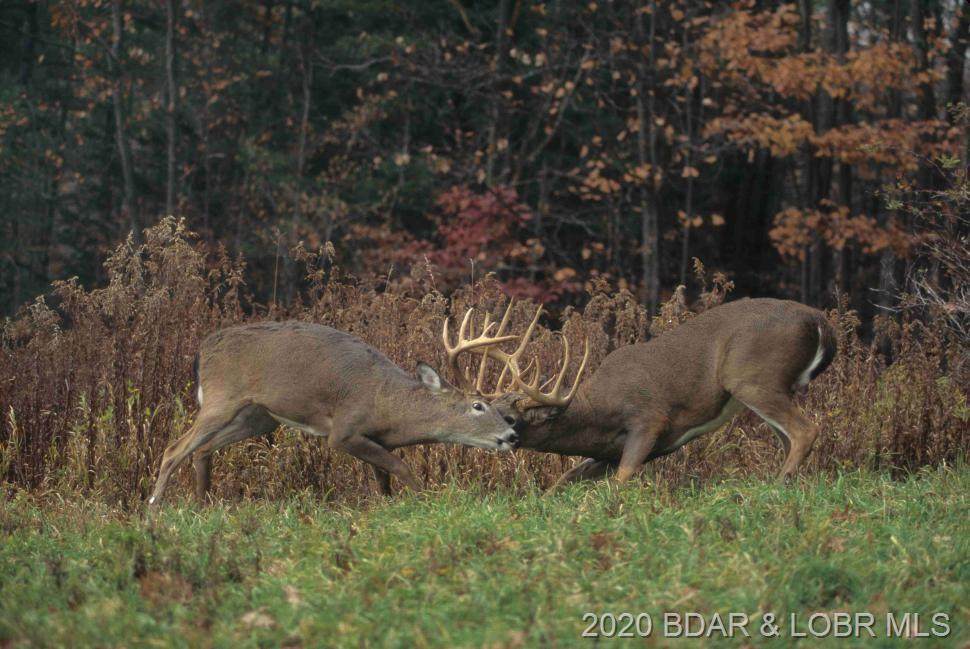Quiet Meadows Ct - Photo 1
