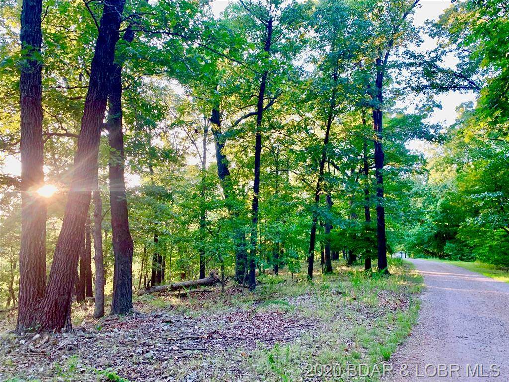 Lot 4 Independence Drive - Photo 1