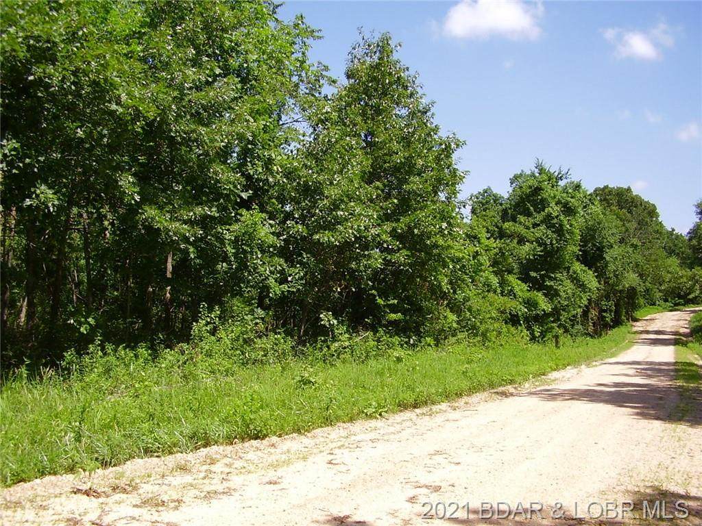 000 Lake Of The Woods - Photo 1