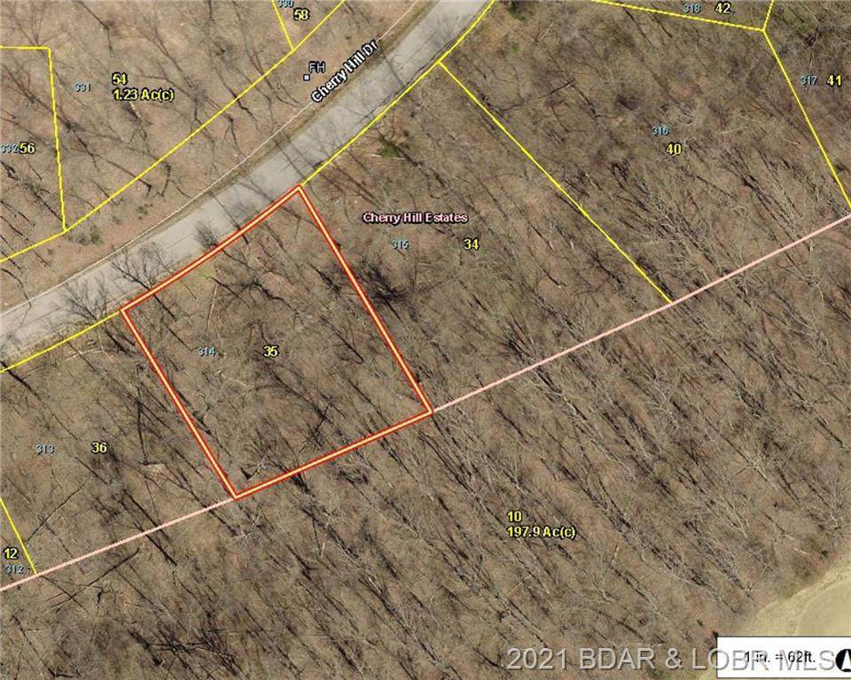 Lot 314 Cherry Hill Drive - Photo 1