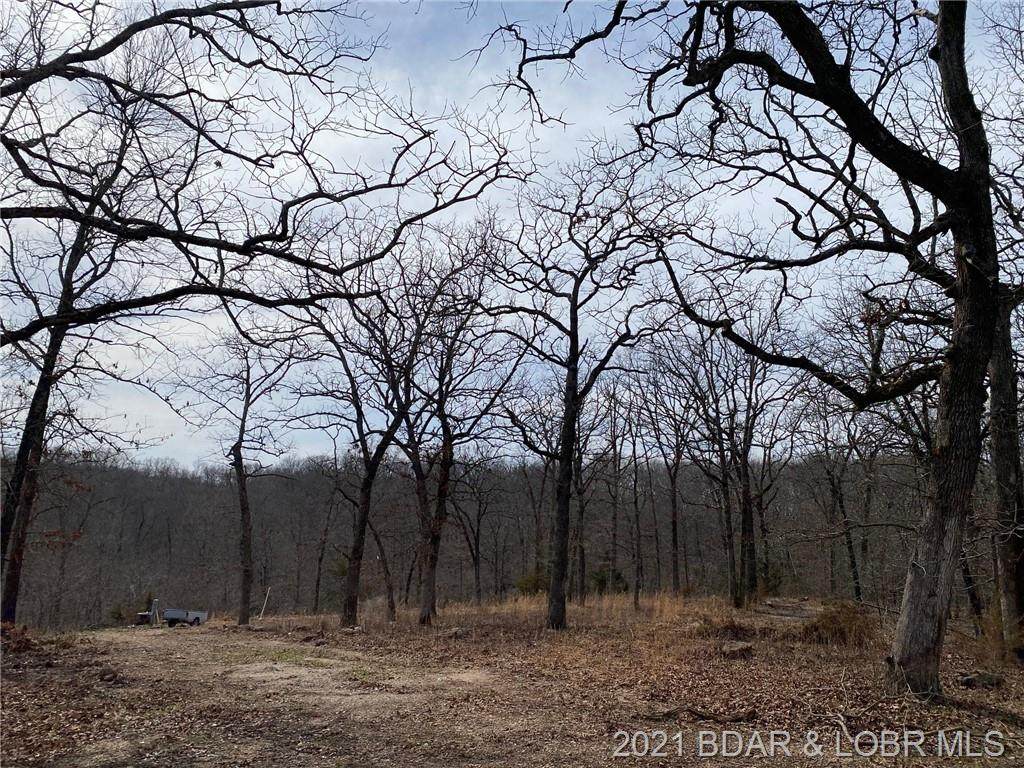 TBD Bumblebee Drive - Photo 1
