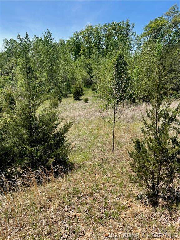 TBD State Hwy 5 - Photo 1