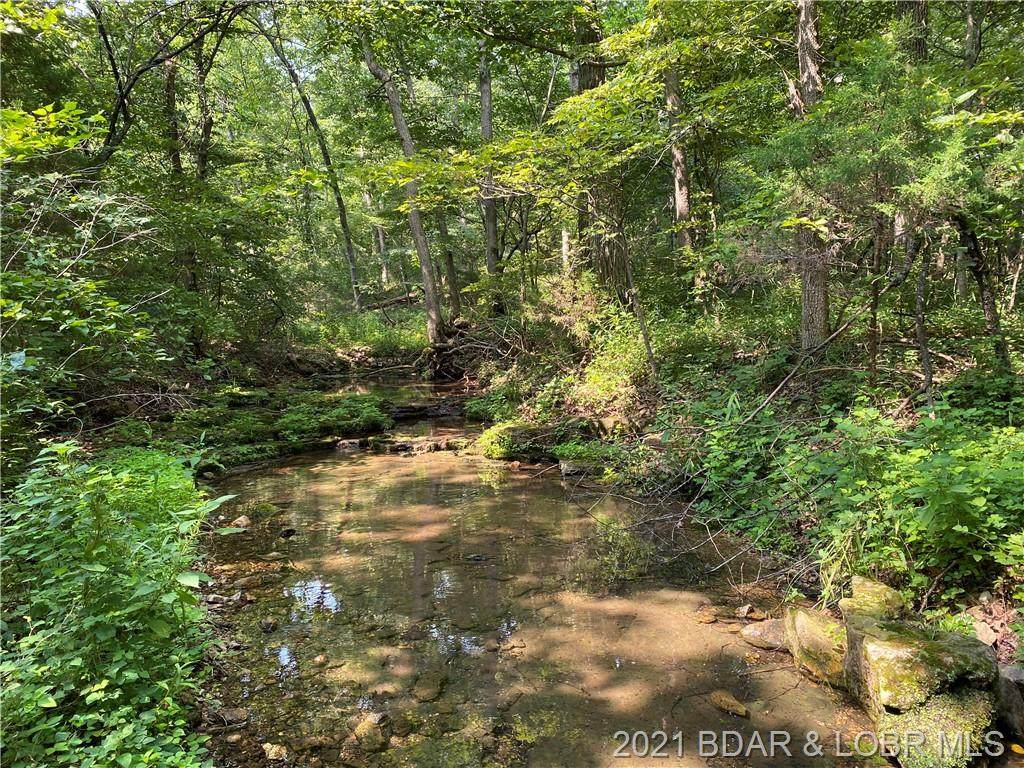 Tract 2-A Bollinger Creek Road - Photo 1