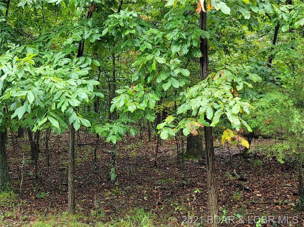 Lot 444 Grand View Drive - Photo 1