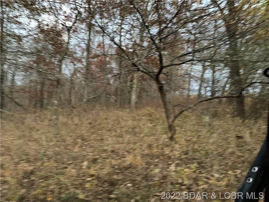 451 Chauncey Heights Drive - Photo 1