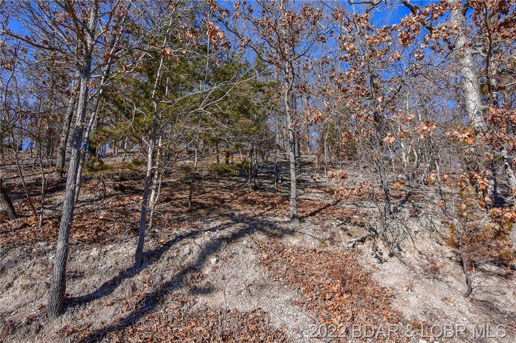 Lot 14 Camelot Court - Photo 1