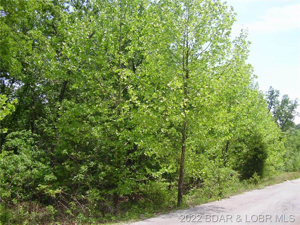 19 Silver Spur Court - Photo 1