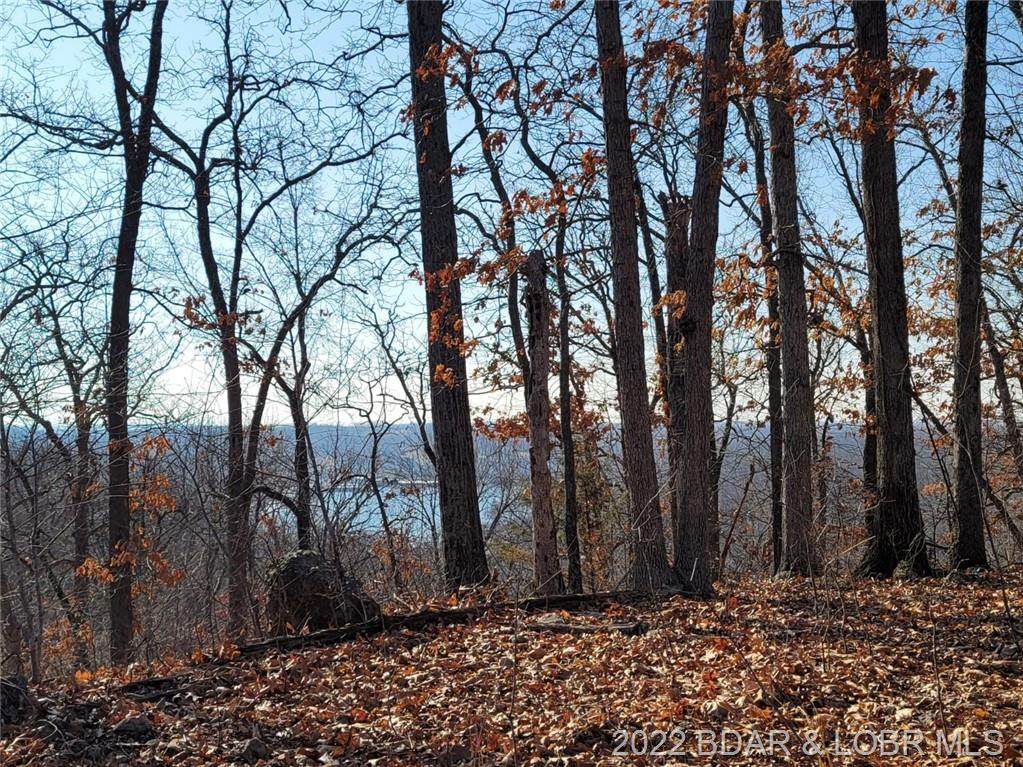 Lot 224 Cherokee Road - Photo 1