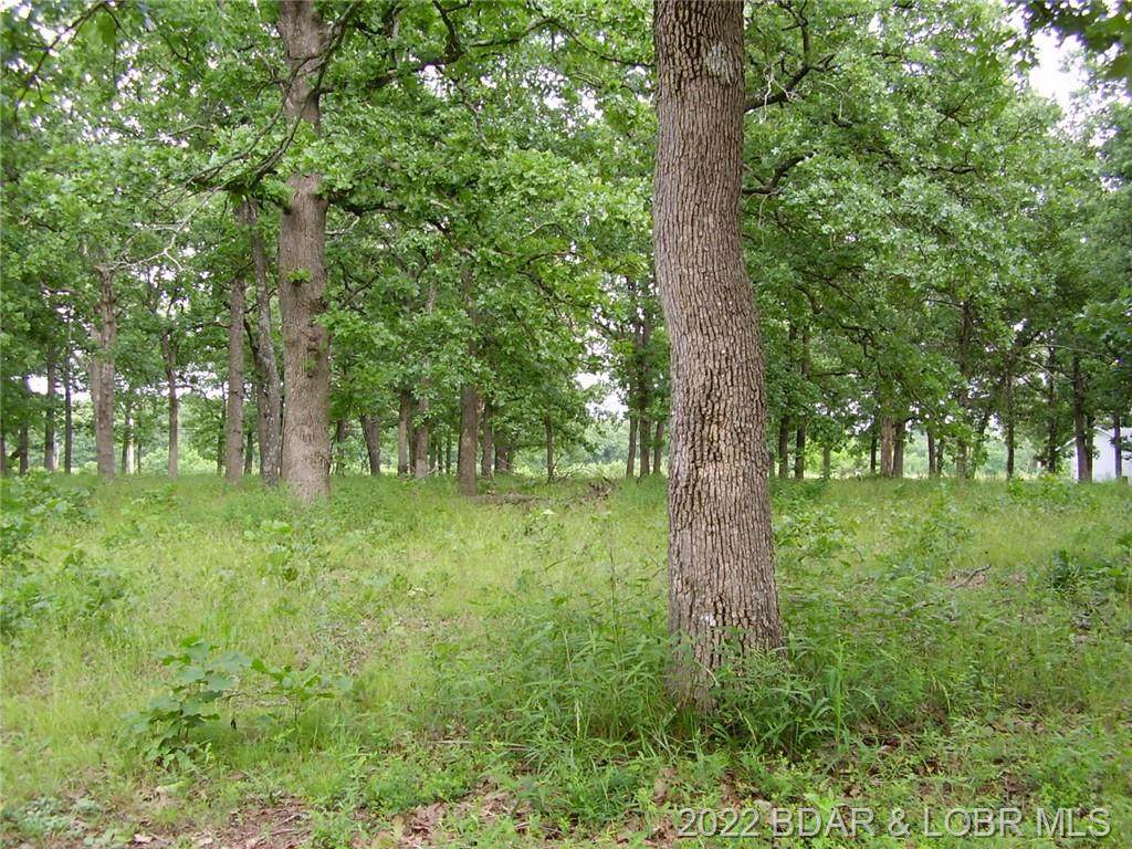 3-11 Lake Of The Woods - Photo 1