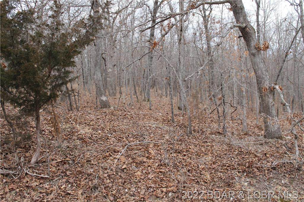 Bogardus Road - Photo 1
