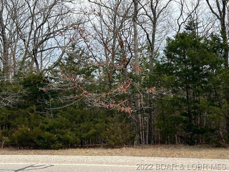 Lot 1018 Linn Creek Road - Photo 1