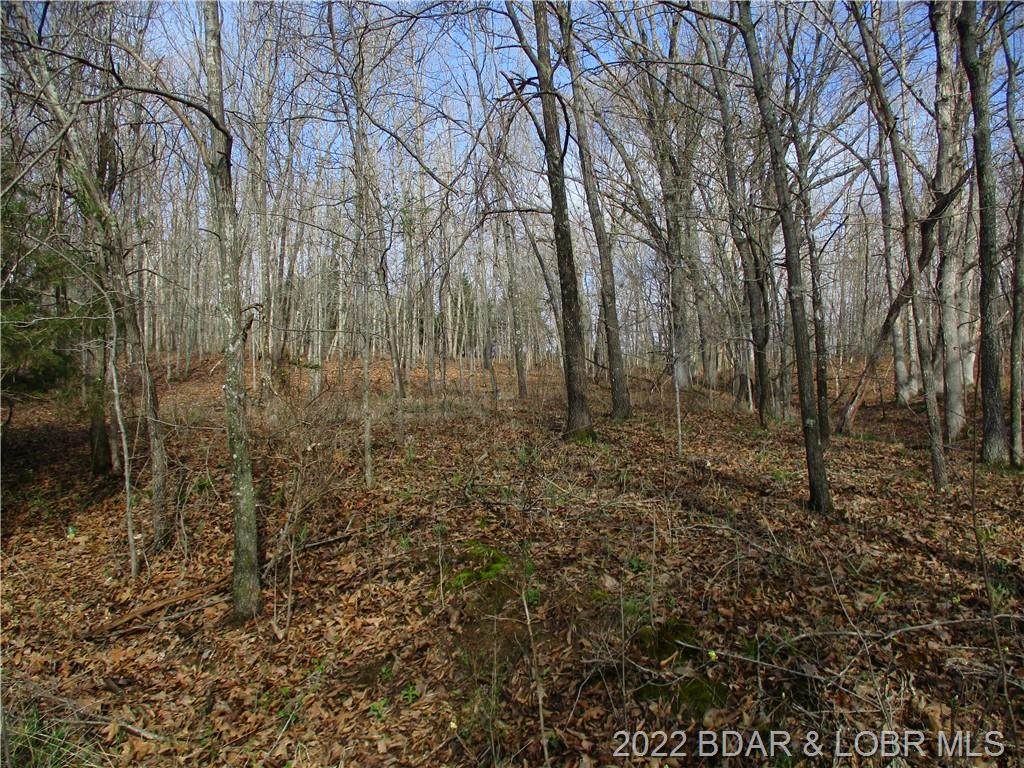 TBD Mini Farm Lane - Photo 1