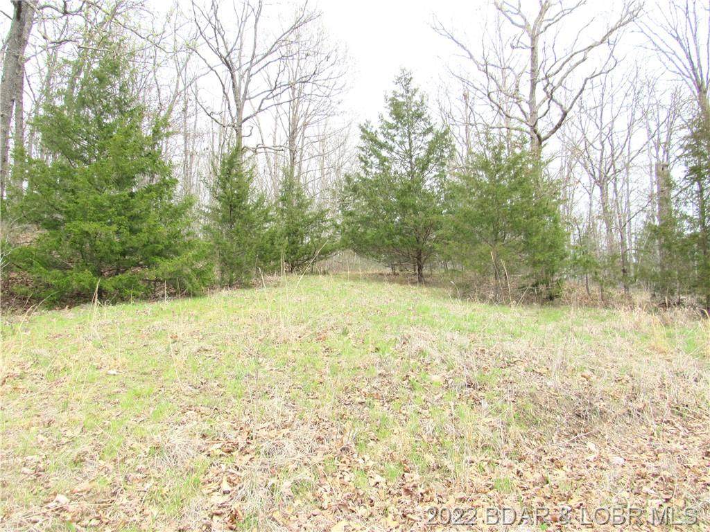 TBD Light Foot Lane - Photo 1