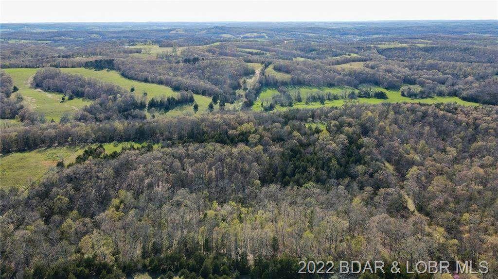 Tbd Longview Road - Photo 1