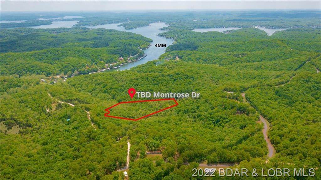 TBD Montrose Drive - Photo 1