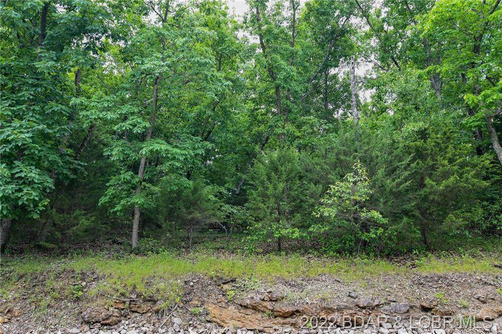 Lot 125 Sioux Road - Photo 1