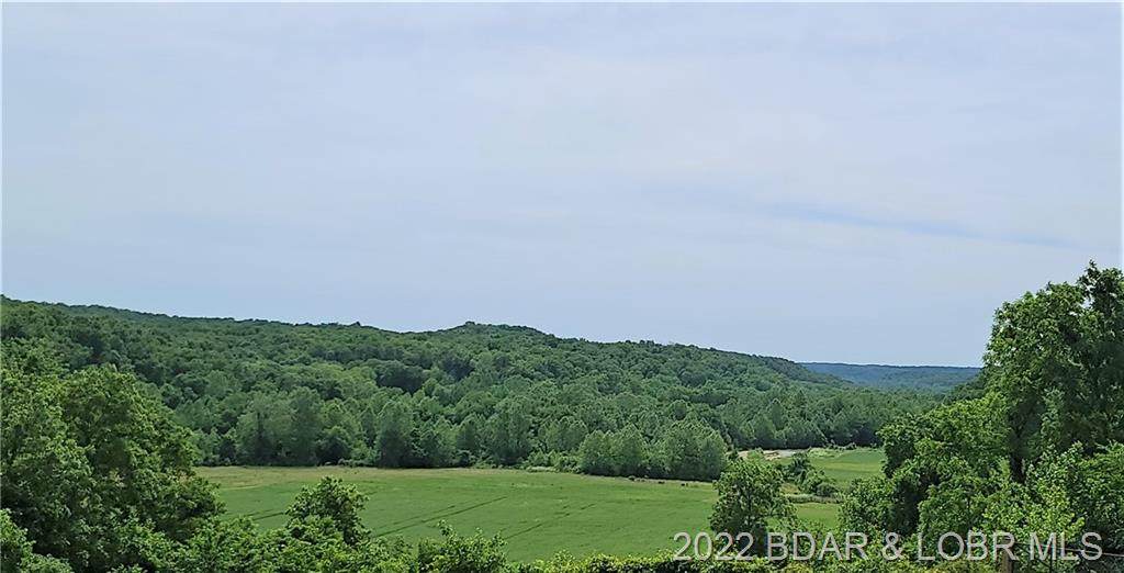 TBD Blue Springs Drive - Photo 1