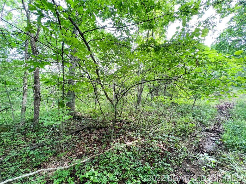 5 acres Blue Waters Rd - Photo 1