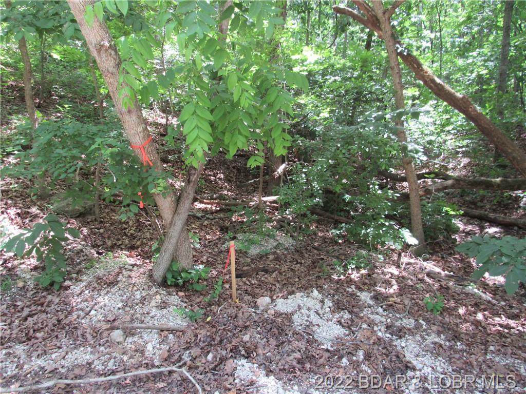 Lot 1-3 Marina Lane - Photo 1