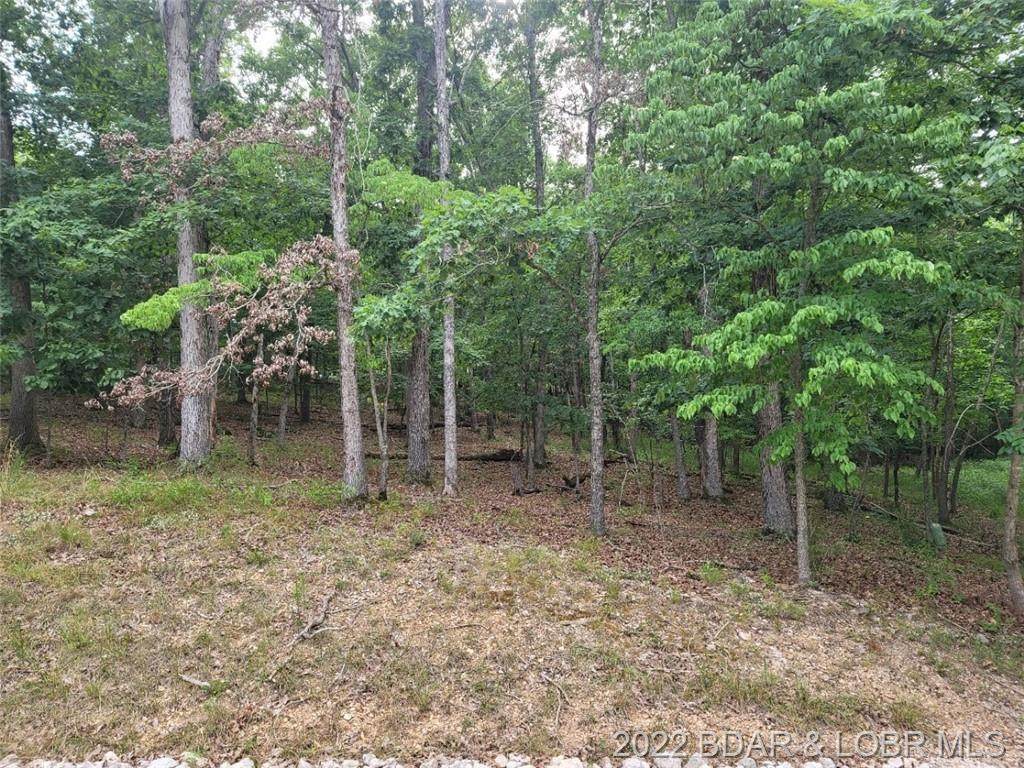 TBD Sioux Road - Photo 1
