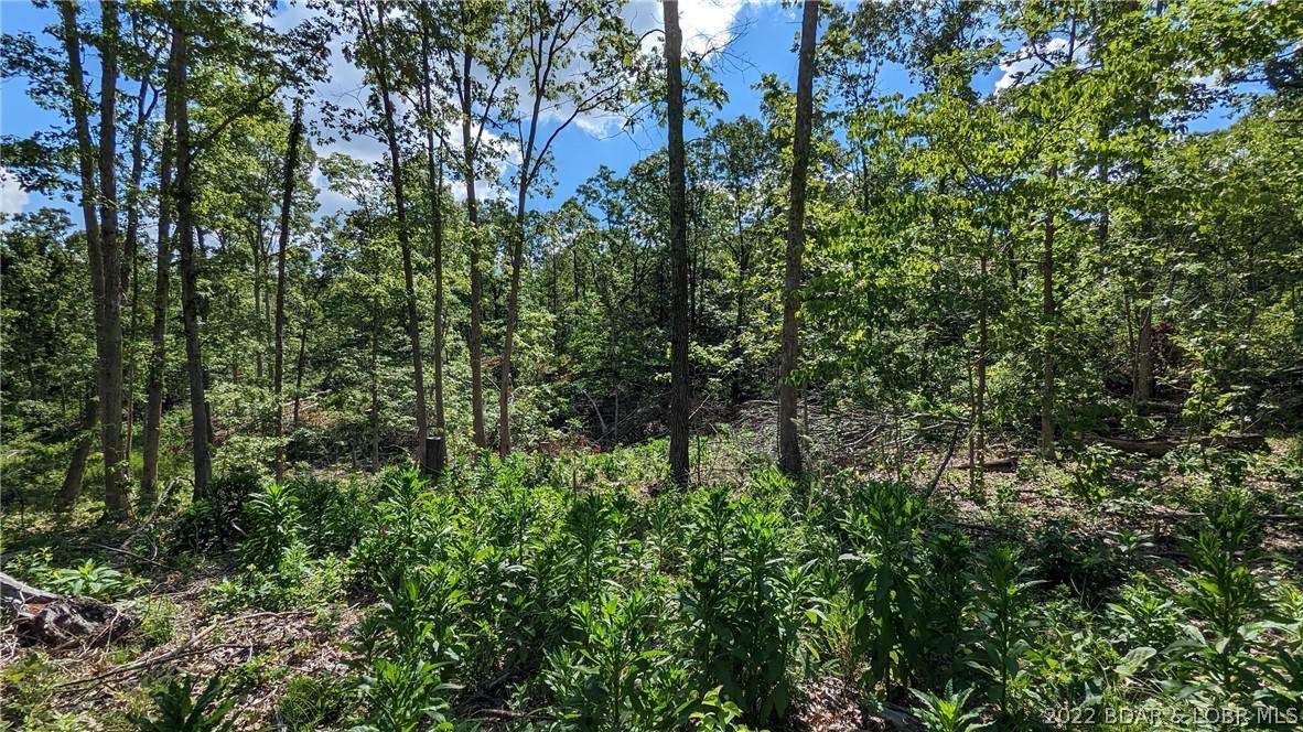 TBD 10 AC Partridge Drive - Photo 1