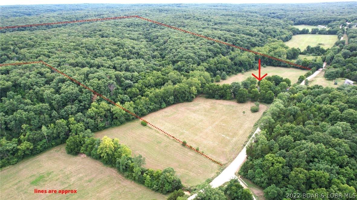 9676 Webb Rd - Photo 1
