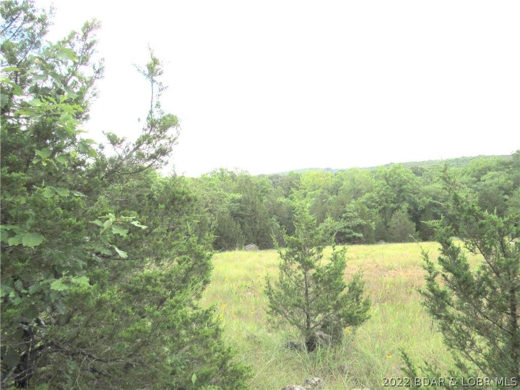 TBD Old Woods Place - Photo 1
