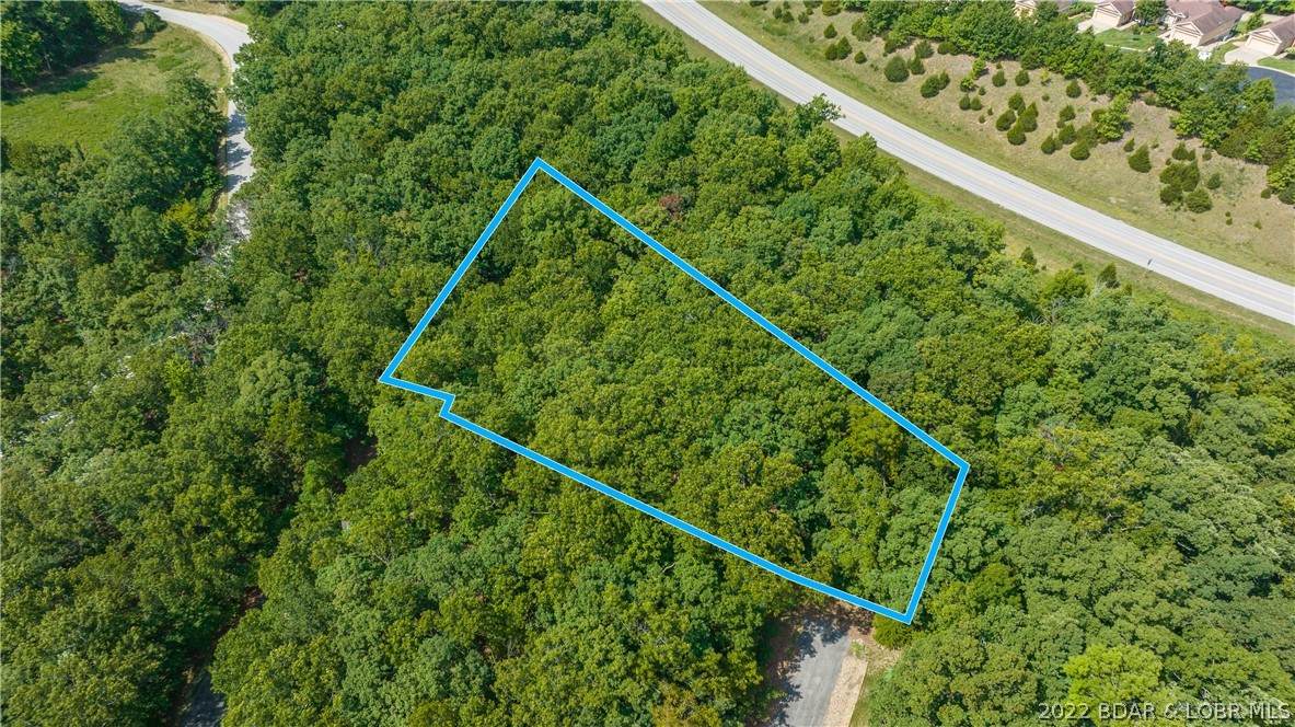 Lot #1386 Via Bello Vista Road - Photo 1