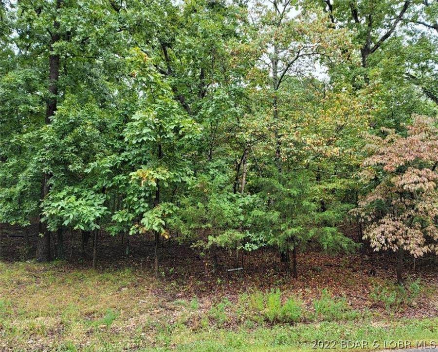 Lot 444 Grand View Drive - Photo 1