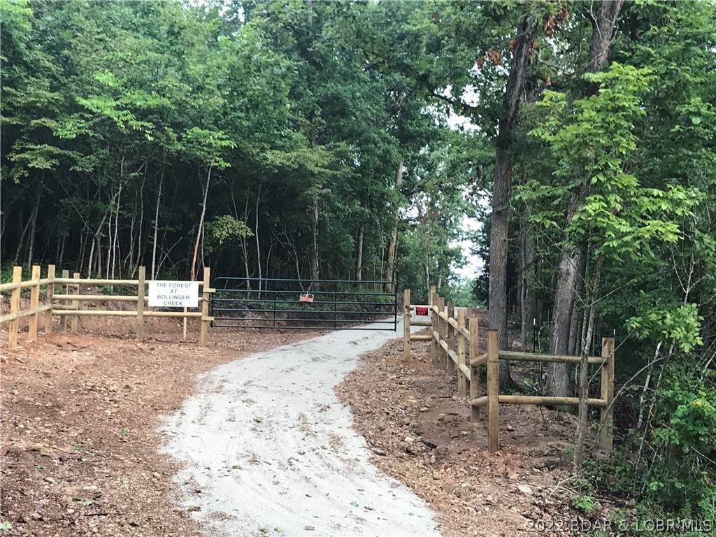 Tract 2-B Bollinger Creek Road - Photo 1